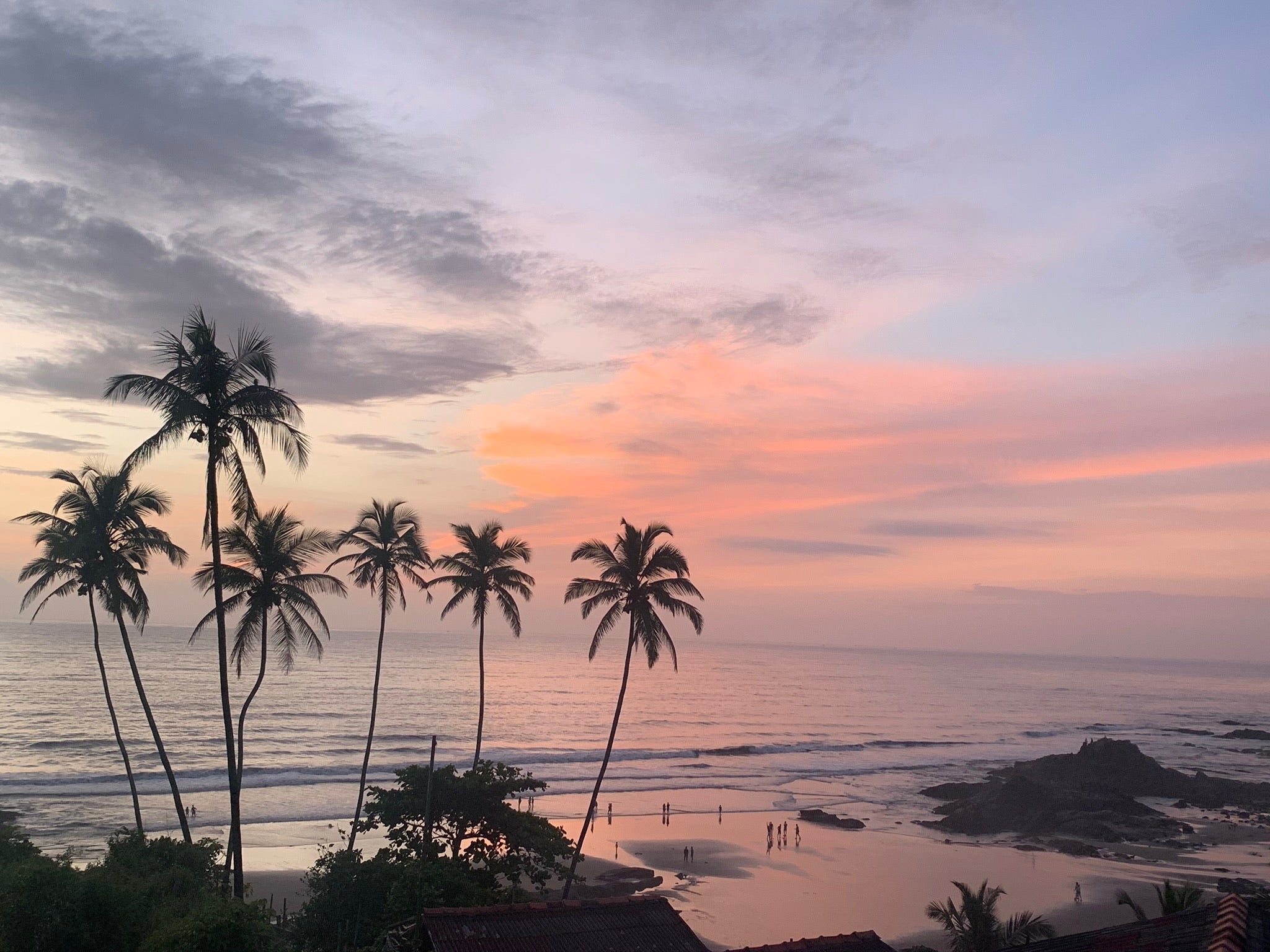 Shell we Goa? – Love Letter