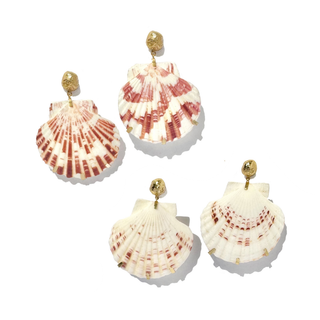 arge, sculptural natural sea shells with softly hammered 18k gold plated studs.