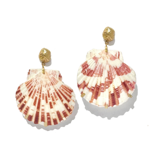 arge, sculptural natural sea shells with softly hammered 18k gold plated studs.